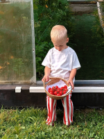 Брюки свободного кроя Mjölk Red Stripes, уценка