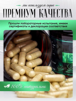 Ежовик гребенчатый, ежевик lions mane мицелий, капсулы 120 шт.