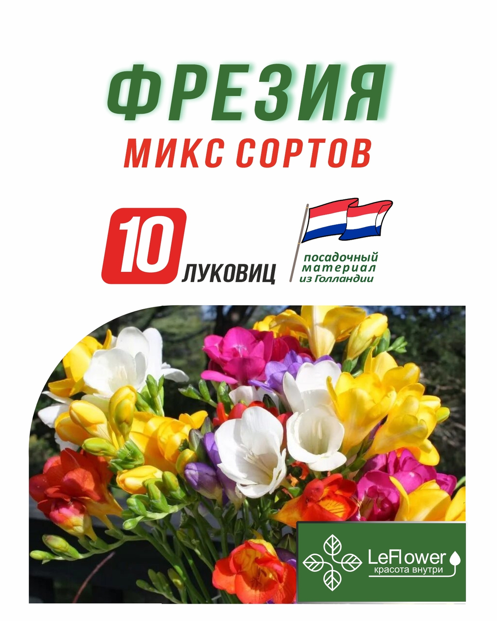 Луковица, Фрезия микс сортов 10шт