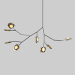 Ceiling design lamp  16.9 by Bocci (Amber)