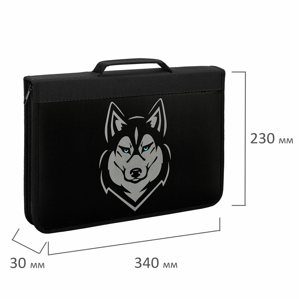 Папка на молнии BRAUBERG А4 с ручкой с органайзером 1 отделение "Husky" (2 штуки в упаковке)