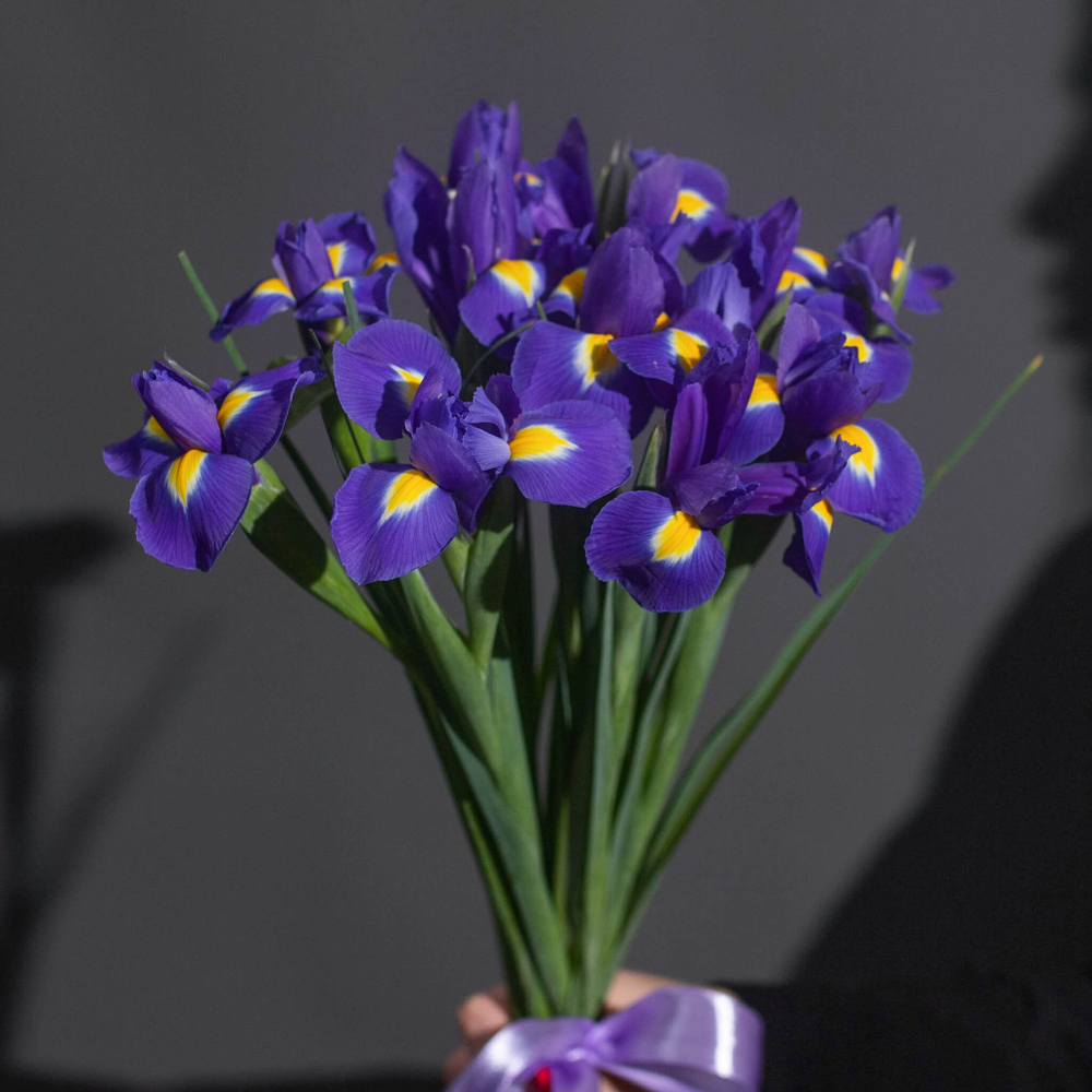 Букет 11 ирисов в ленте