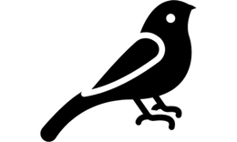 Товары для птиц