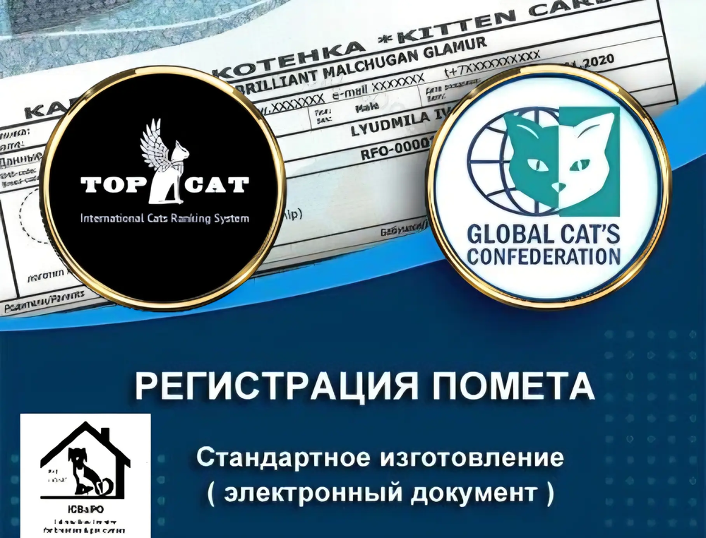 Регистрация котенка (GCC или TOP CAT)