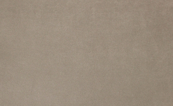 Велюр Гран При 02