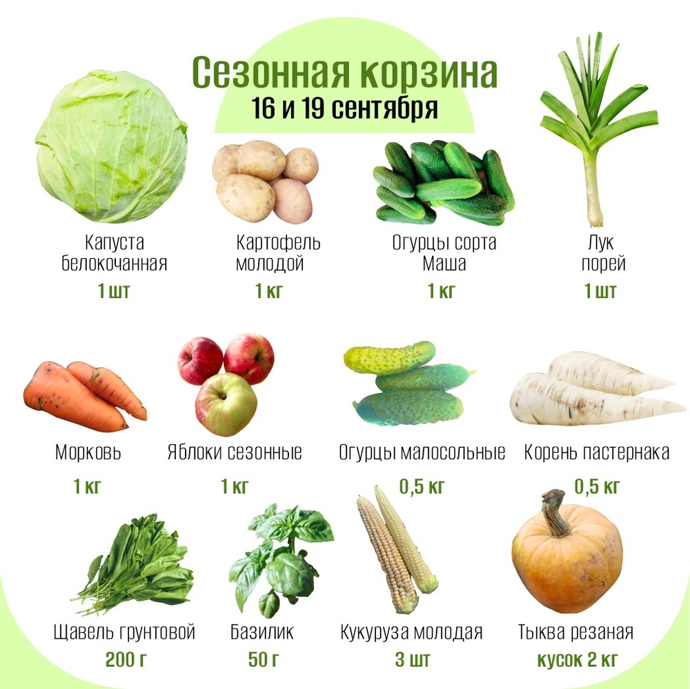 Сезонная корзина