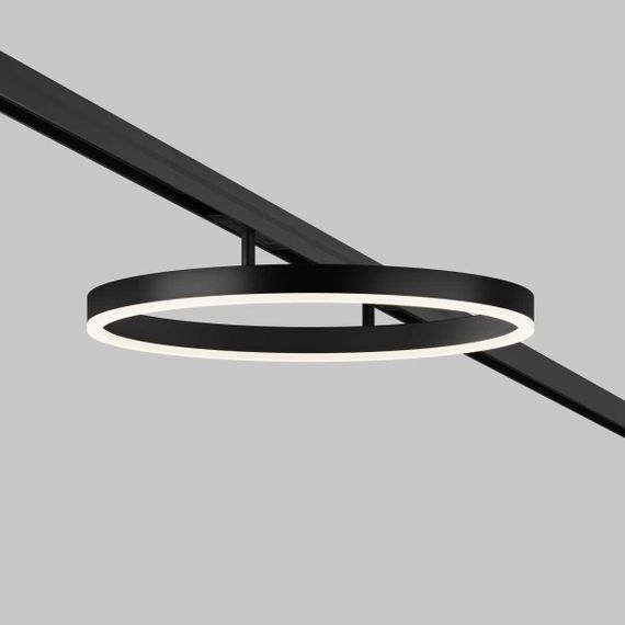 Трековый светильник Maytoni Technical TR227-2-24W4K-B