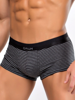 Мужские хлопковые трусы-боксеры в полоску (Размер: S) (Цвет: черный с серым)
