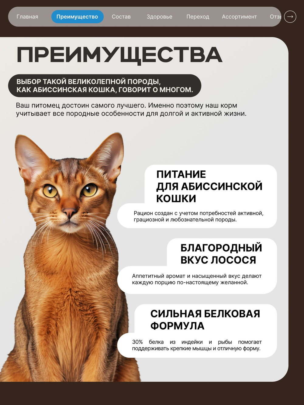 Корм сухой для взрослых кошек породы Абиссинская кошка, с лососем, 5 кг, QUATTRO