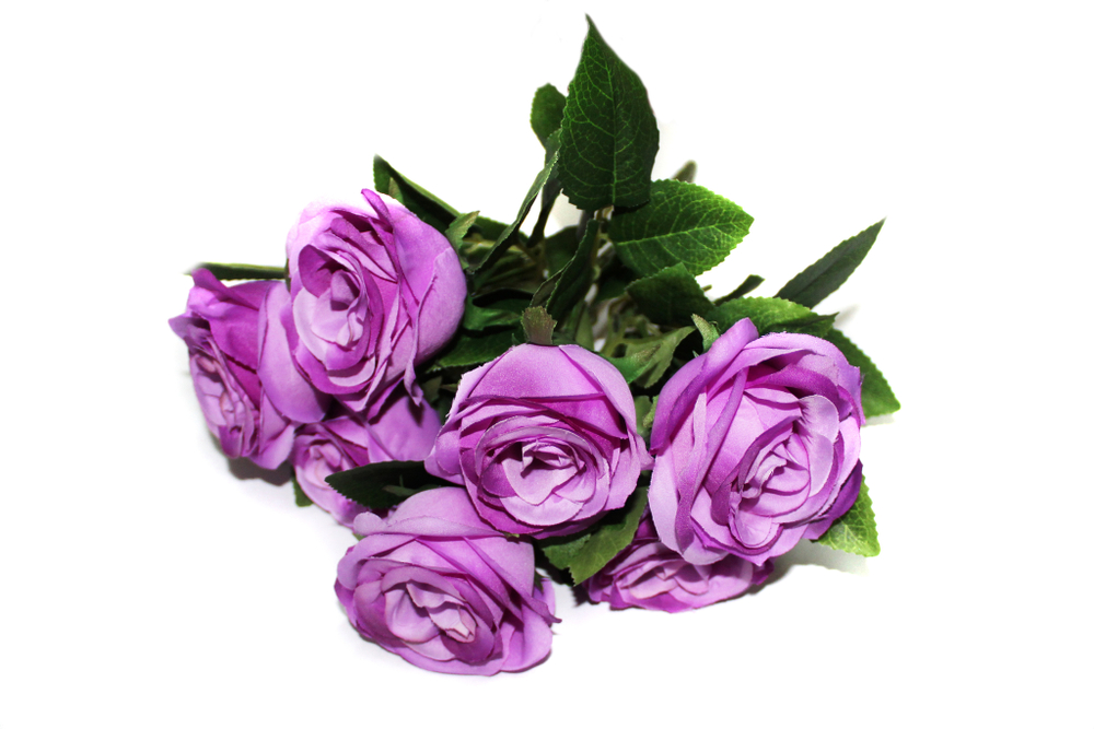 Букет роз 6 голов