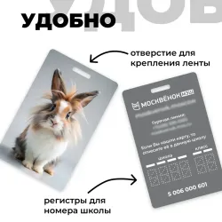 Карта Москвёнок BUNNY №6 (проход + питание)