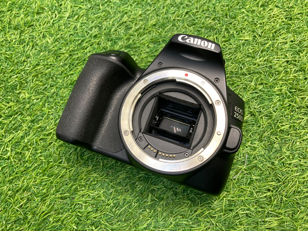 Canon EOS 250D 8.000 кадров