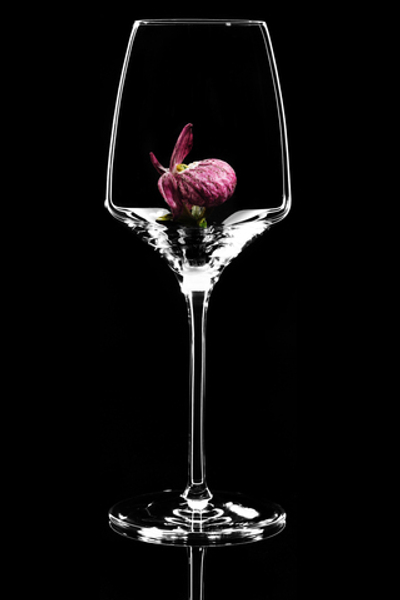 Бокал для белого вина. Башмачок Фиолетовый. Новая коллекция.