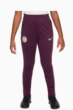 Штаны Nike PSG 24/25 Strike Junior