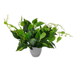 Искусственное комнатное растение в горшке Avesta, полипропилен