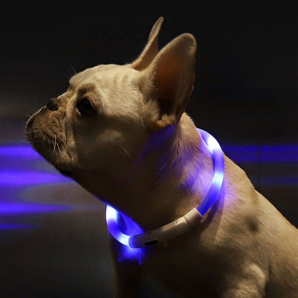 Led-ошейник Xiaomi Little Beast для собак