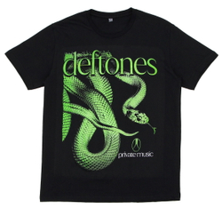 Футболка Deftones Private Music (987)