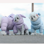 672 Комбинезон "Комфорт до -20-25°C" с молнией на спине, девочка/ COMFORT - FOR GIRLS, для девочки PREMIUM (SSOOOK)