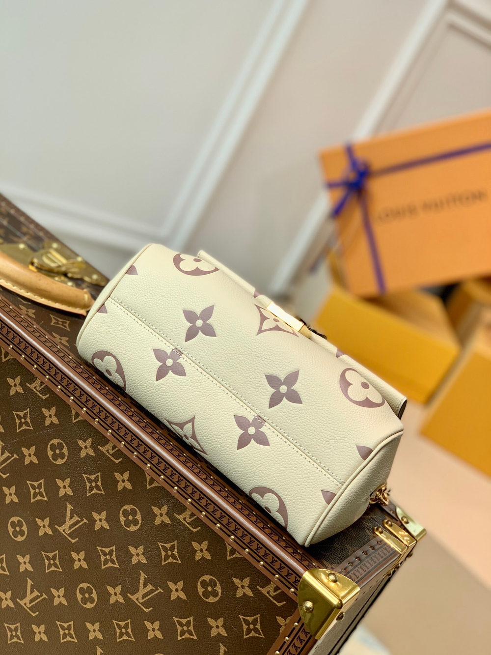 Louis Vuitton Favorite