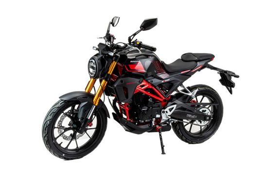 Мотоцикл MOTOLAND 501 (172FMM-5/PR250) ТУРЭНДУРО