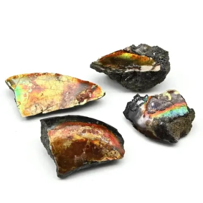 Минерал аммонит 32*24*12мм, 10-19г. (V)