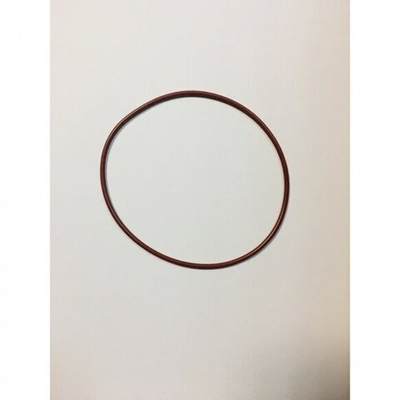 0059977048 O-Ring OEM