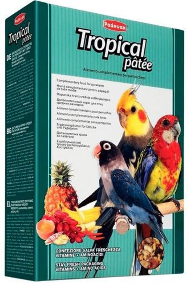Корм Padovan TROPICAL patee для средних попугаев комплексный с фруктами 700 г