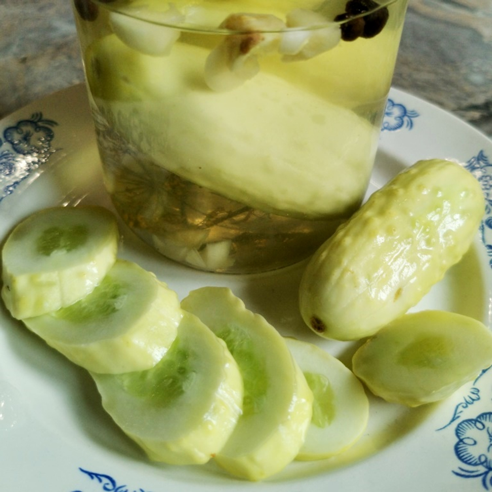 Белый Корнишон из Старого Парижа - Concombre Blanc Le Parisien