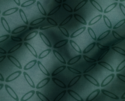 Постельное белье СайлиД BN-007 сатин