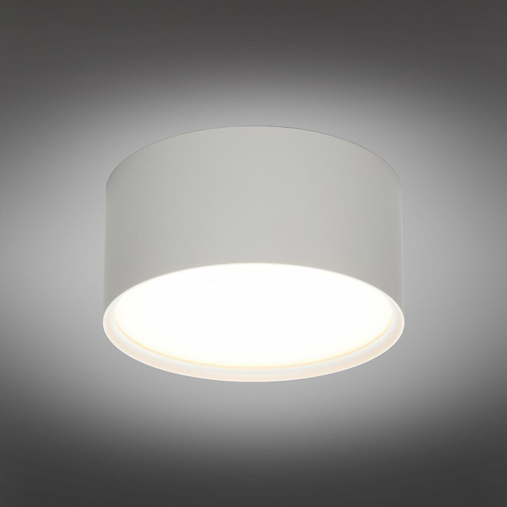 Накладной светильник Omnilux Abano OML-103309-12