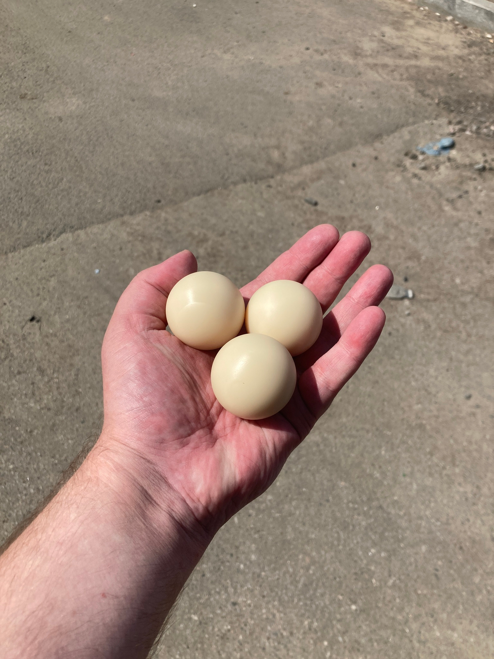 капролон стеклонполненный Шар