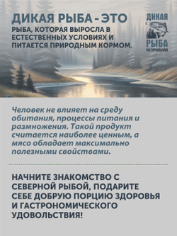 Уха из щуки ТАЁЖНЫЙ ЦЕХ 340 г