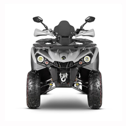 Квадроцикл GLADIATOR F200 Lux Plus