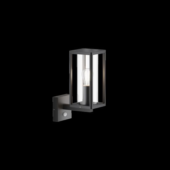 Настенный светильник (бра) Outdoor O452WL-01GFSR