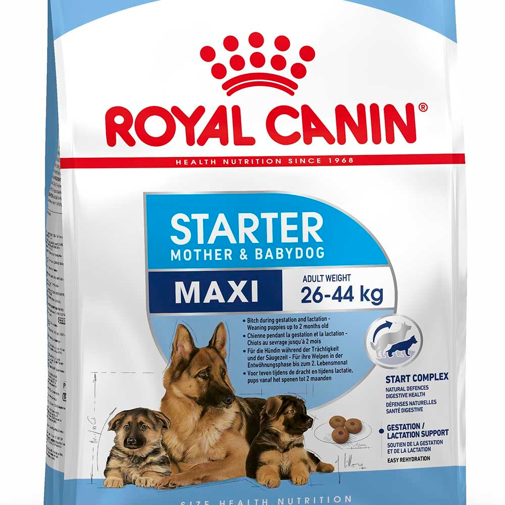 Royal Canin Maxi Starter Mother&Babydog - корм для щенков, беременных и кормящих сук крупных пород