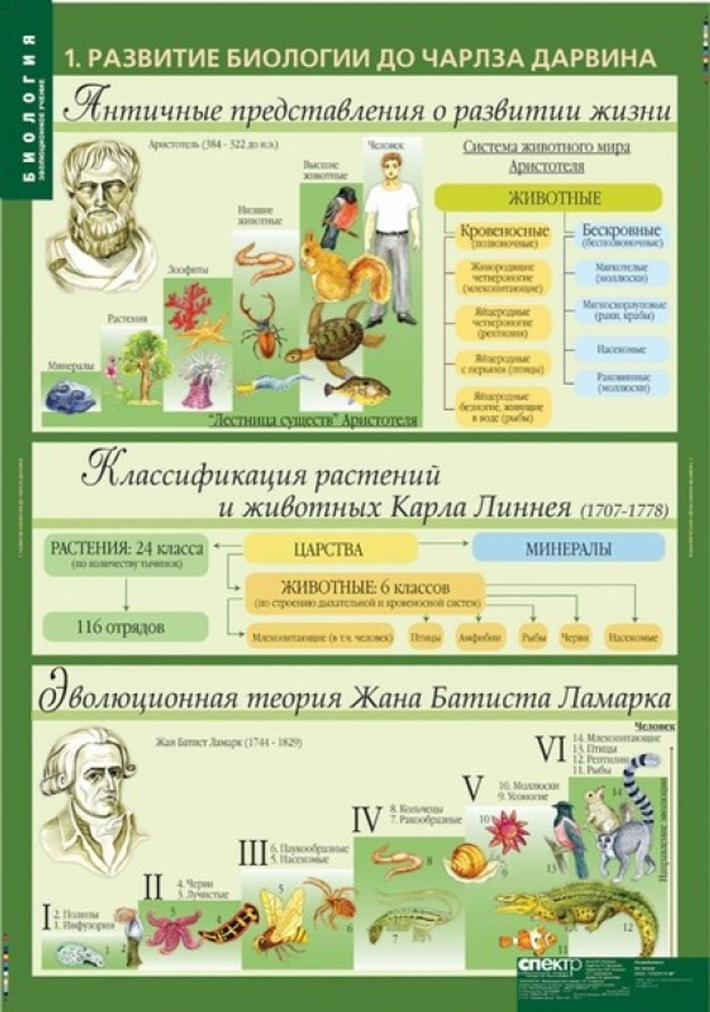 Биология 10-11 классы. Эволюционное учение