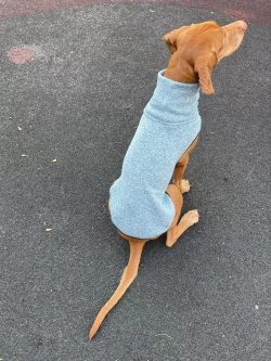 Свитер для собак на молнии попона