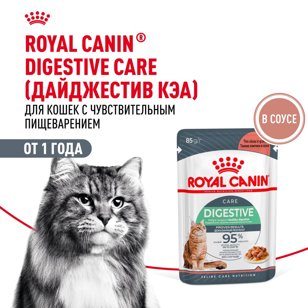 Пауч Royal Canin Digestive Care для взрослых кошек с чувствительным пищеварением, тонкие ломтики в соусе Пауч Royal Canin Digestive Care для взрослых кошек с чувствительным пищеварением, тонкие ломтики в соусе