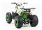 Квадроцикл MOTOLAND 125 Coyote (2021 Г.)