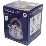 Чайник из нержавеющей стали 3л «Vicalina» VL-9255, матовый, ручка микс цветов