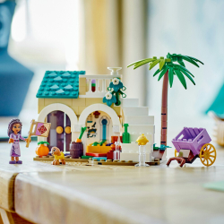 LEGO Disney Princess — Аша в Розах 43223 / артикул   43223  / GTIN 5702017424910