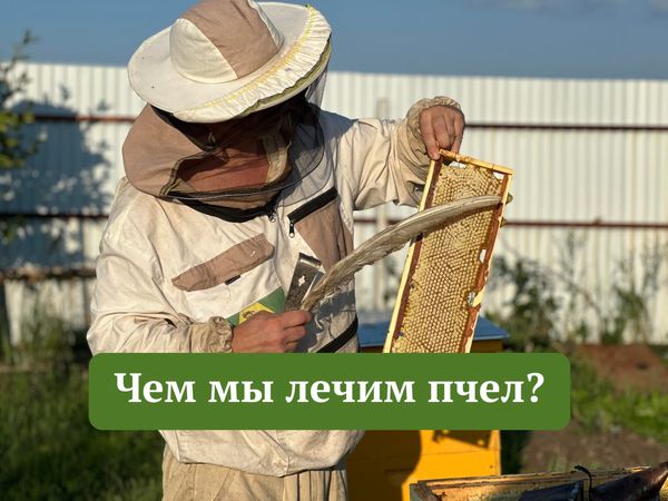 ЧЕМ МЫ ЛЕЧИМ ПЧЕЛ?