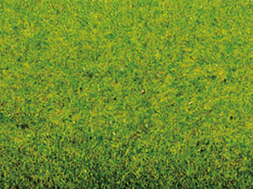 Травяное покрытие "Весенний луг" 200 x 120 cm