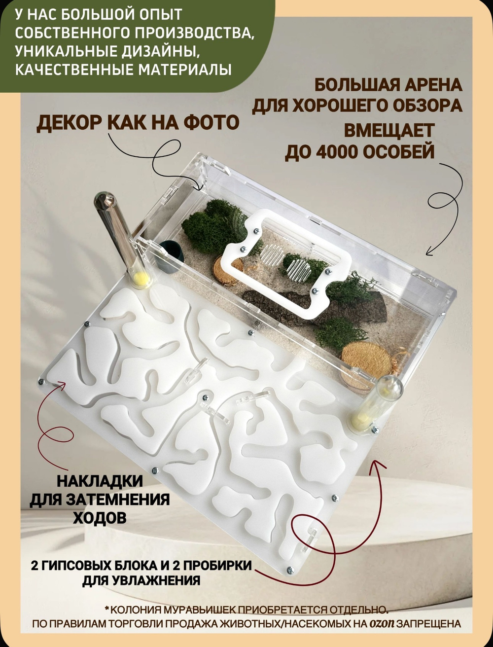 Супер большой Формикарий с муравьями в подарок  «XXXL Белый»