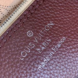 Louis Vuitton Carmel Hobo Bag