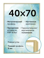 Металлическая рамка 40х70 см