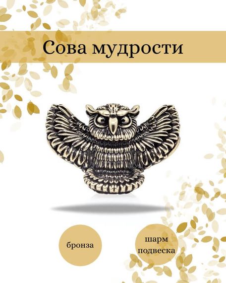 Шарм Сова большая из бронзы, фото с инфографикой