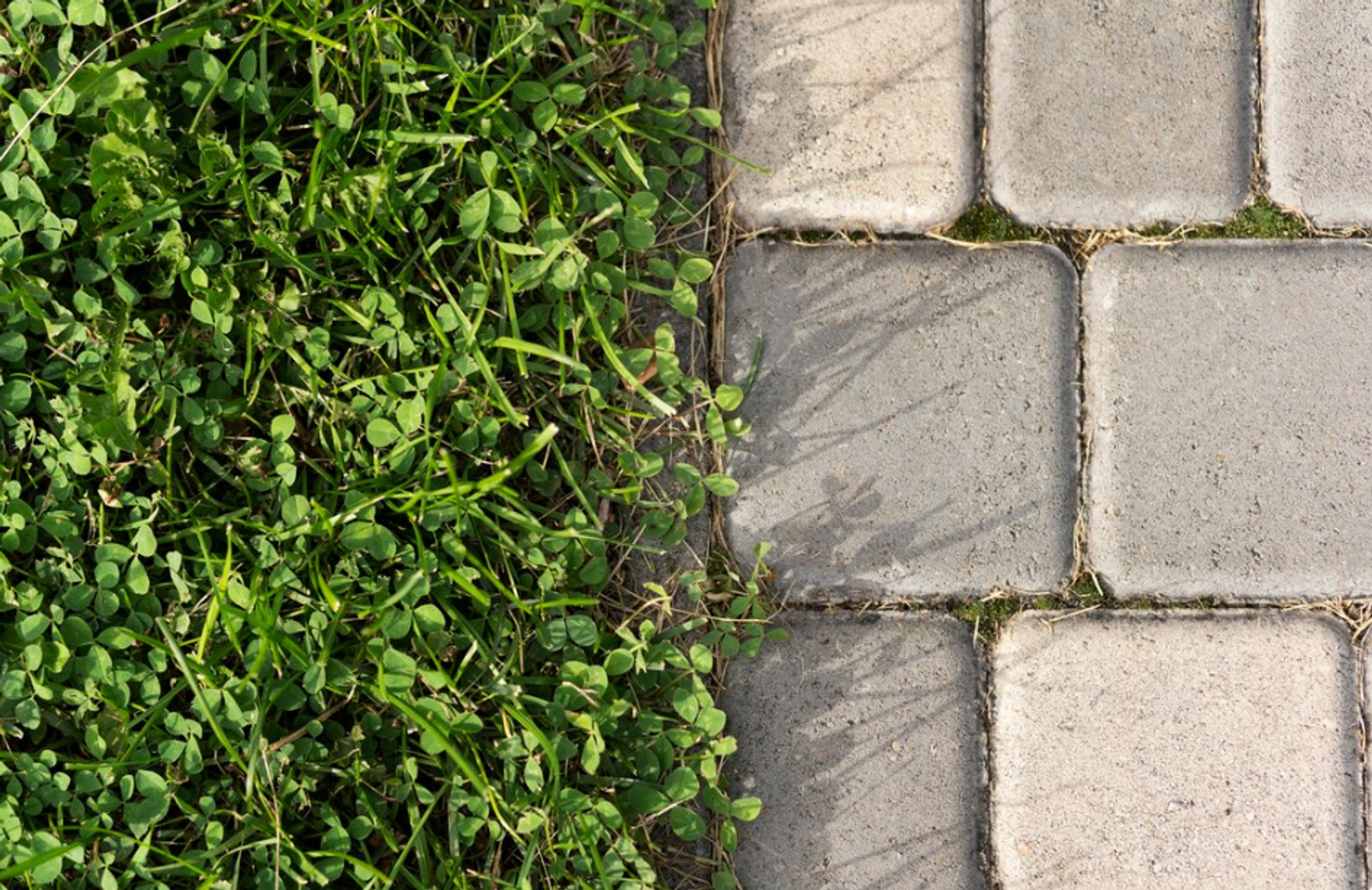 Весенний ремонт дорожек: восстановление покрытий после зимы