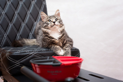 Набор мисок для замешивания теста SENSE