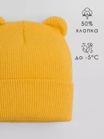 Шапка детская с ушками осенняя